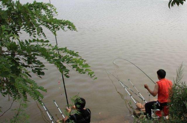 这才是猛拉鳊鱼的正确方式，两天不钓都难