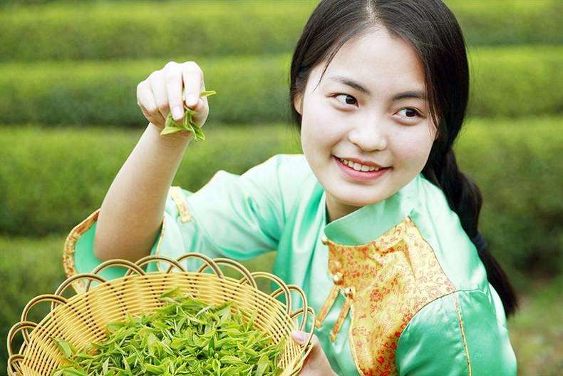 你买的绿茶不好喝？是因为忽视了这些关键